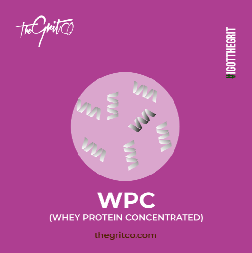 ¿QUÉ ES LA PROTEÍNA WPC?