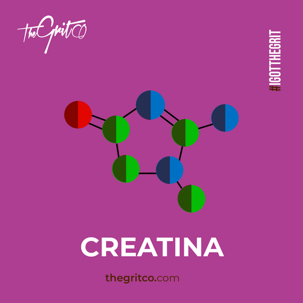 ¿QUÉ SABES DE LA CREATINA?
