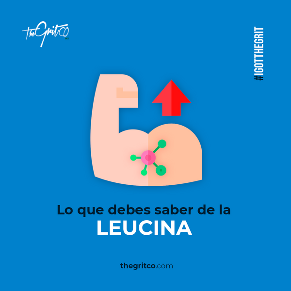 LEUCINA: LO QUE DEBES SABER