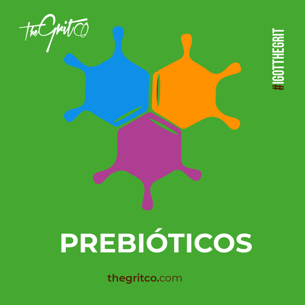 ¿QUÉ SON LOS PREBIÓTICOS?